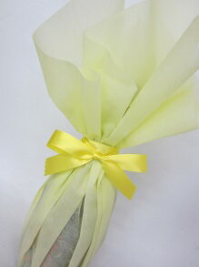 ����ץ륤������������åԥ󥰡ʥ�åԥ󥰤Τߤβ��ʡ� �ڳڥ���_������