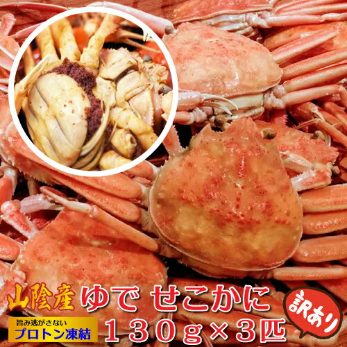 訳あり 釜茹で セコカニ 130g x 3匹 山陰産 プロトン凍...