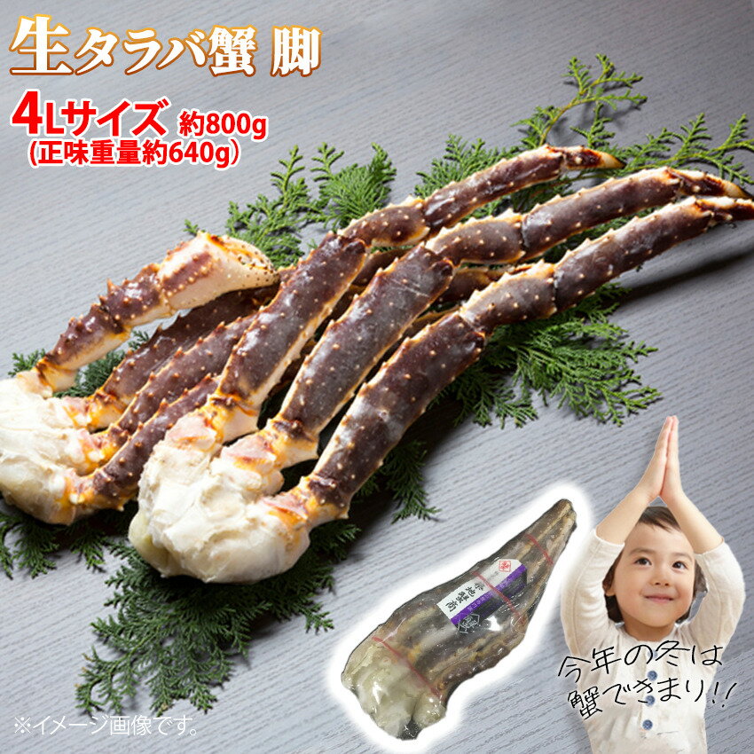 生タラバガニ 脚 4Lサイズ 約800g 1肩 