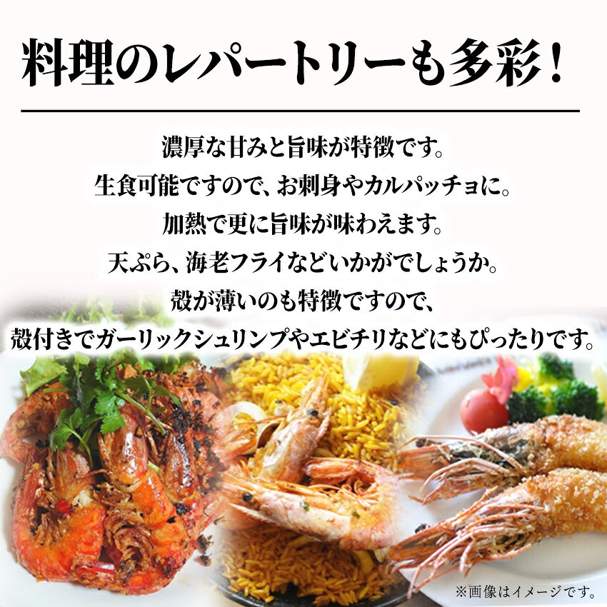 海産王子の天使の海老 1kg(約40尾〜50尾入) お中元 お歳暮 ご贈答 高級 ギフト 贈り物 えび エビ 安 お刺身 さしみ 生食｜アングル3