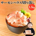 生食用 サーモンハラス切落し 1.5kg (500gが3袋) 鮭 さけ シャケ さーもん スライス はざい 切れ端 わけあり 端材 訳あり 送料無料