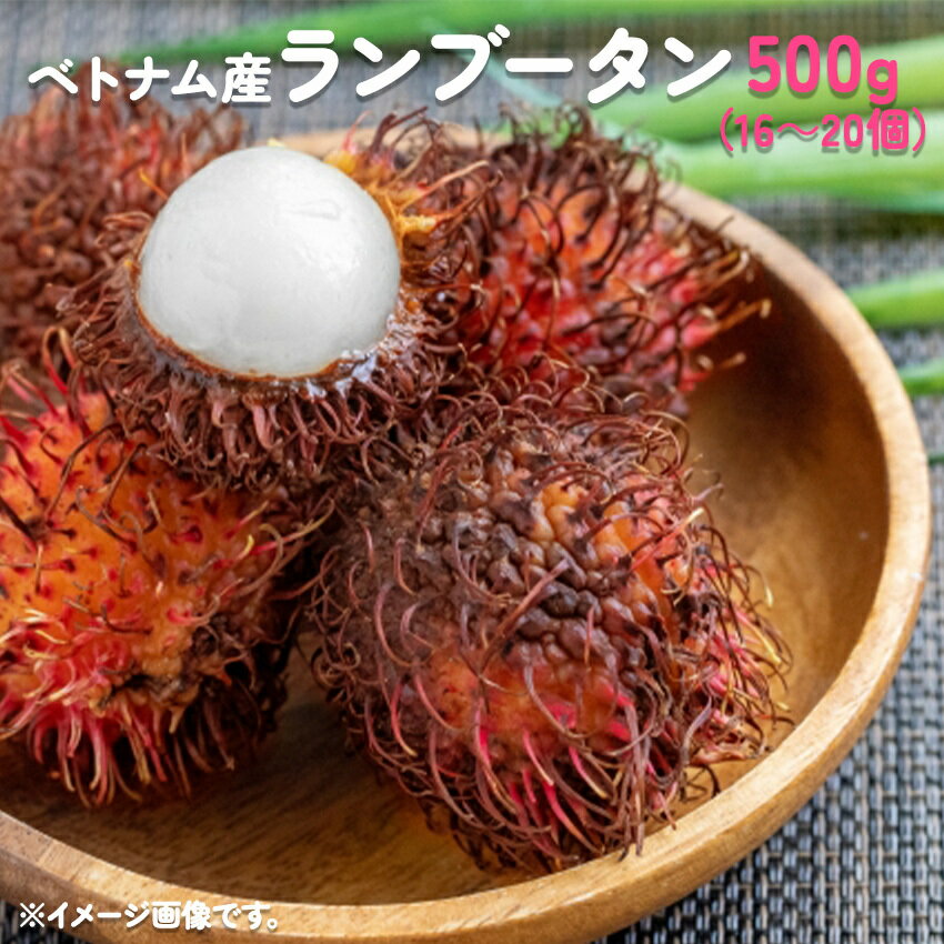 冷凍 ランブータン 500g ベトナム産 フルー...の商品画像