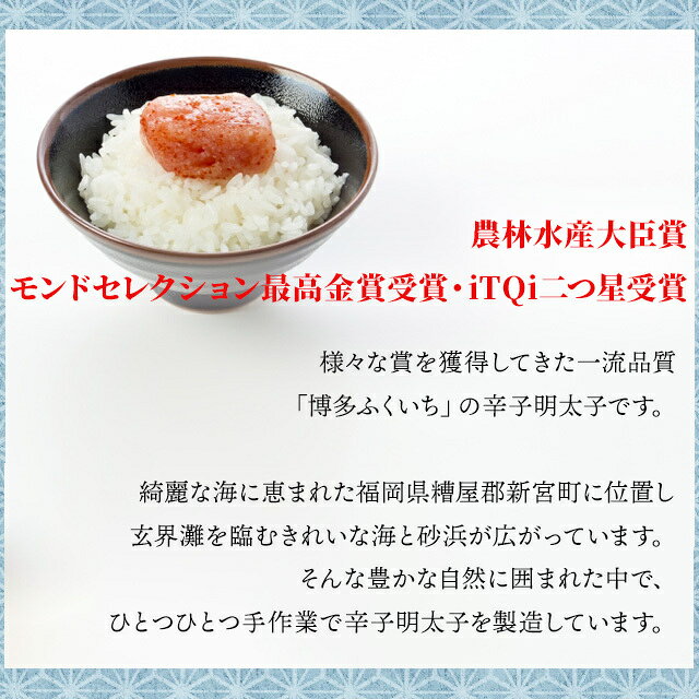 博多ふくいち 辛子明太子 250g めんたいこ メンタイコ パスタ ご飯 丼 おにぎり お...