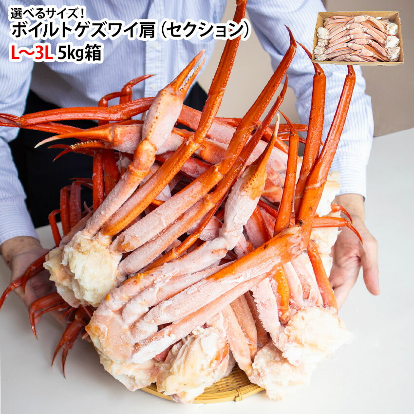 選べるサイズ ボイルトゲズワイ 肩 L 2L 3L 5kg箱 蟹 ズワイ蟹 蟹鍋 ゆで蟹 大きい セクション 訳あり 送料無料 年末年始 冬グルメ 海鮮