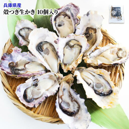 生食用 殻つき生かき 10個入り 兵庫県産 冷凍 牡蠣 カキ 殻付き からつき ハーフシェルオイスター 炒め物 国産 こくさん 生食用 殻つき生かき 10個入り 兵庫県産 冷凍 牡蠣 カキ 殻付き からつき ハーフシェルオイスター 炒め物 国産 こくさん
