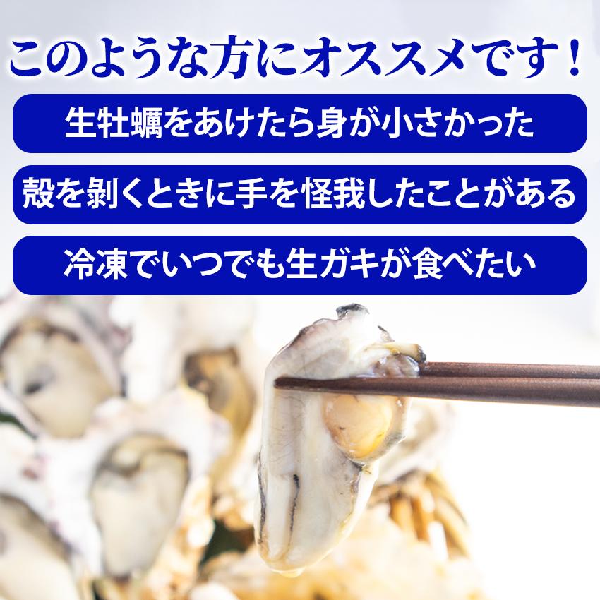 生食用 殻つき生かき 10個入り 兵庫県産 冷凍 牡蠣 カキ 殻付き からつき ハーフシェルオイスター 炒め物 国産 こくさん