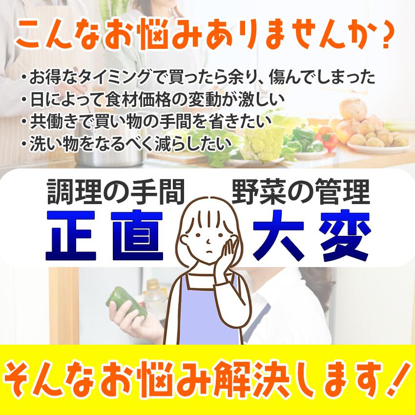 長ネギカット 1kg 冷凍 冷凍野菜 時短 カット野菜 長葱 薬味 タン塩 ながねぎ kaisanouji-10000826 海産王子 サンプル画像2