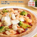 ピッツァクラフト 約20cm 30枚 #800 プレーンタイプ ピザ生地 手作りピザ ピザシート 生地 キャンプ パーティー 惣菜 イベント 昼食 子どもと作る 冷凍 冷凍ピザ 手軽 大容量 まとめ買い