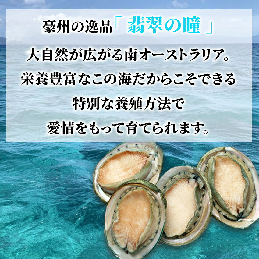 冷凍 生食可 あわび(翡翠の瞳) 1kg 3Lサイズ 8粒〜9粒入 あわび 鮑 ステーキ 刺身 さしみ グリーンリップ　BBQ お中元 お歳暮 ご贈答 母の日 父の日 プレゼント ギフト kaisanouji-10000109 海産王子 サンプル画像2