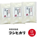 米 お試し 1000円ポッキリ 送料無料 令和5年産 新潟 岩船米 コシヒカリ 2合(300g)3袋セット 白米 精米 小分け プチギフト お試し米