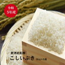 米 こめ 送料無料 産地直送 こしいぶき 令和5年 新潟岩船産 コシイブキ 25kg（5kg×5袋）新潟県限定品種 白米 精米 小分け保管に便利 家計に優しい