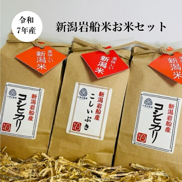 お米 ギフトセット 御歳暮 御贈答 プチギフト 産地直送 送料無料 令和7年産 新潟岩船産 コシヒカリ・こしいぶき 各3合×3袋 食べ比べ 精..