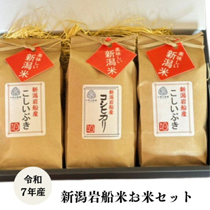 コシヒカリ3袋セット 楽天市場】コシヒカリ3合の通販
