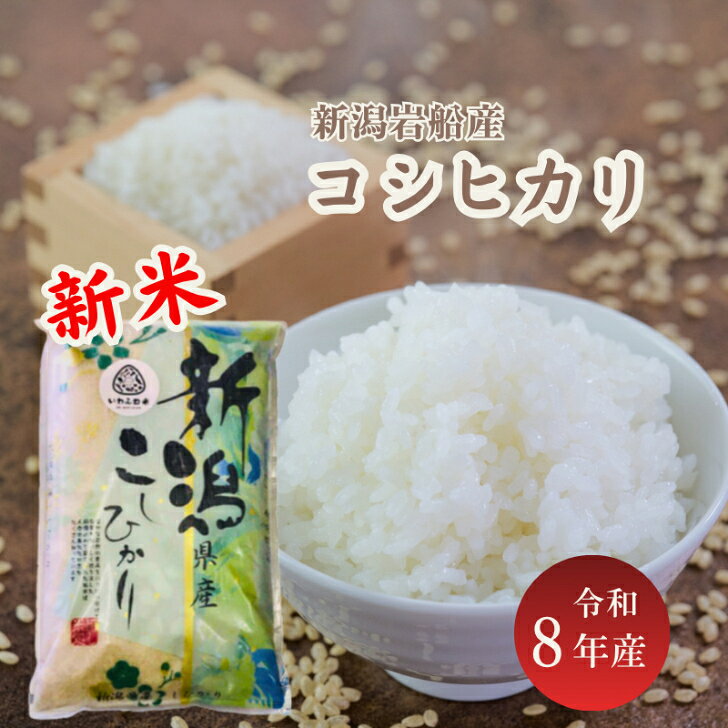 楽天市場】岩船産 コシヒカリ 玄米の通販