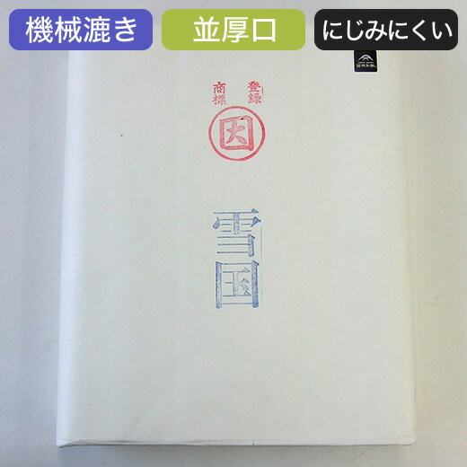 漢字用紙 練習用 半切 【雪国】 100