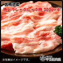 [4535]【送料無料】宮崎