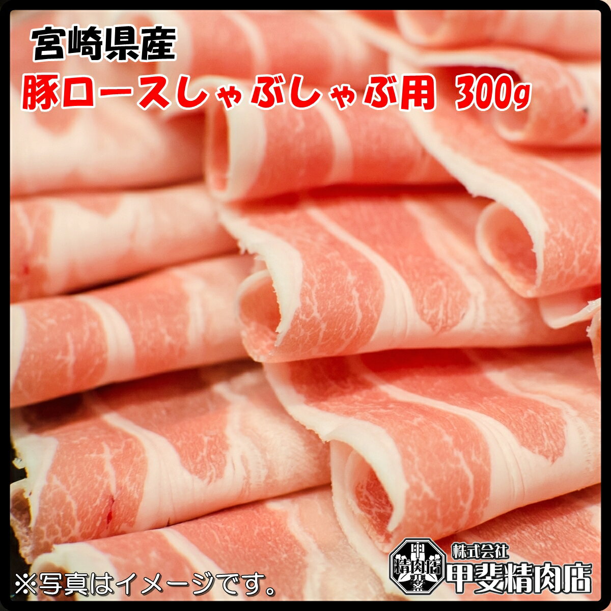 [4504]宮崎県産豚ロース