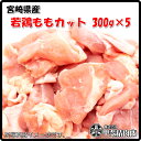 [4549]【送料無料】宮崎