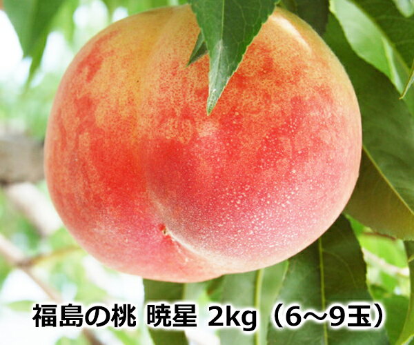 【送料無料】【お中元】たかはし果樹園 福島市笹谷産もも 暁星 2kg 6〜9玉 産地直送のサムネイル