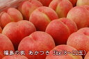 【送料無料】【お中元】北斗 福島の桃 あかつき 3kg 8〜12玉 産地直送