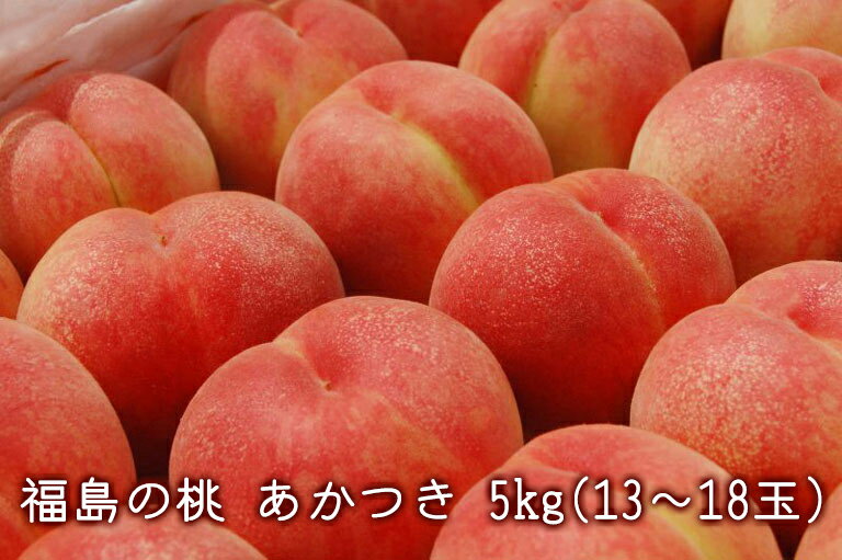 【送料無料】【お中元】北斗 福島の桃 あかつき 5kg 13～18玉 産地直送