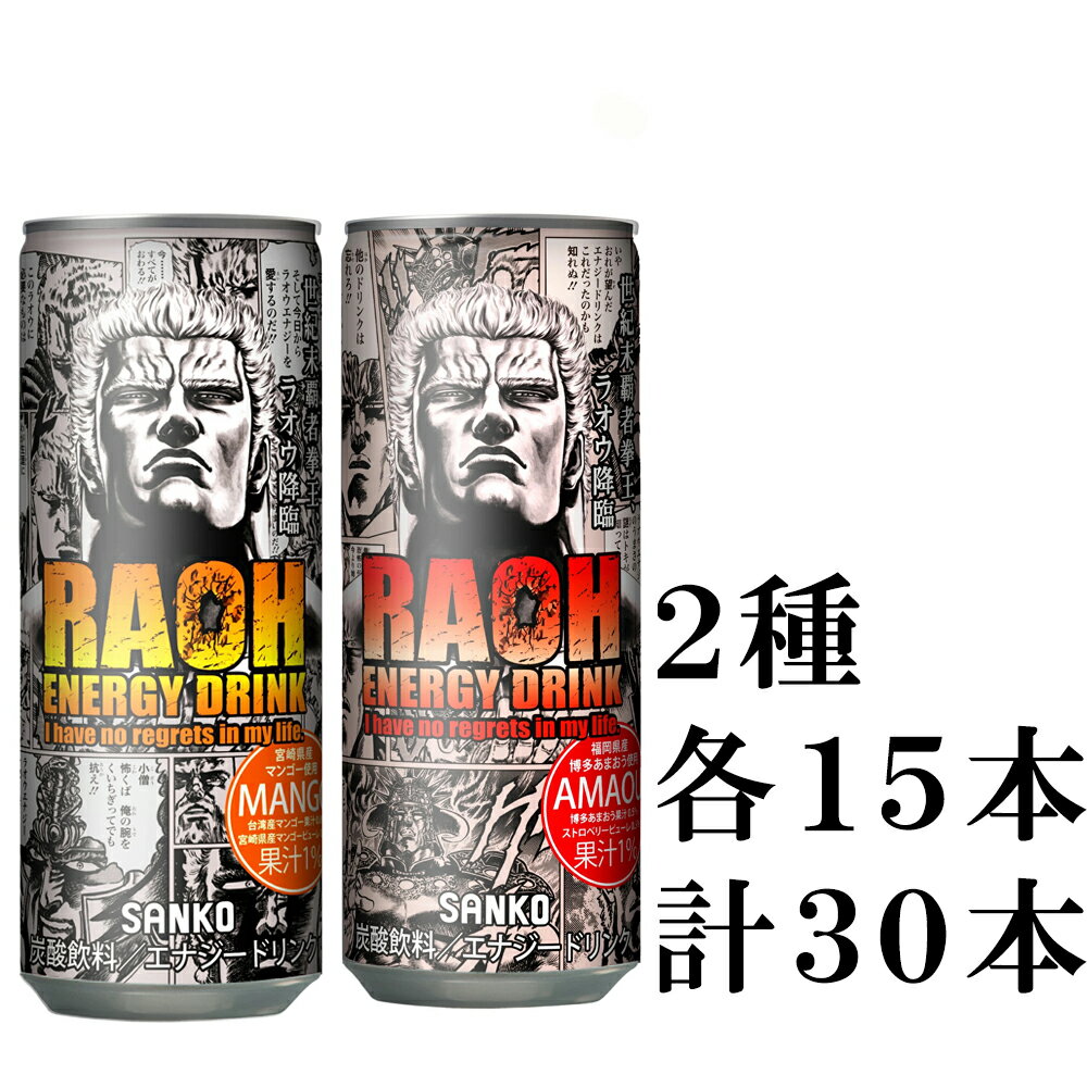 【送料無料（沖縄除く）】ラオウ エナジードリンク 2種類各15本（計30本）アソートセットのサムネイル