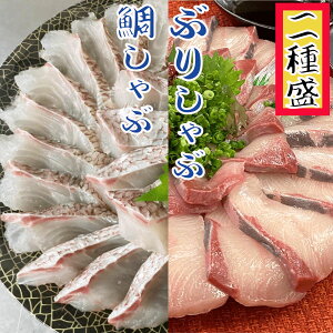 海鮮しゃぶしゃぶ2種盛 ブリ約230g 鯛約200gセット ギフト 贈り物 鍋パーティ のし対応 お取り寄せ プレゼント 海鮮ギフト ご挨拶 御礼 自宅グルメ お家グルメ 高級ギフト 海鮮贈り物 結婚内祝い 就職 ぶり 鯛 ブリ タイ卒業祝い 入学 挨拶 入学祝い母の日