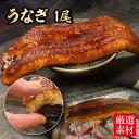 うなぎ蒲焼 特大1尾 3-4人前 鰻 ひつまぶし うなぎ茶漬け うなぎの蒲焼 鰻丼 土用の丑の日 丑の日 ギフト ギフト 贈り物 パーティ のし対応 合格祝い...