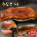 うなぎ蒲焼 特大4尾 9~10人前 鰻 ギフト可 ひつまぶし うなぎ茶漬け うなぎの蒲焼 鰻丼 ギフト 土用の丑の日 丑の日 贈り物 パーティ のし対応 合格...