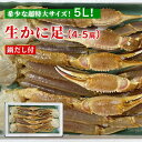 2個以上でどんどんお得に！生かに足（鍋だし付き） 5Lサイズ 4-5肩 ずわい蟹 カニ鍋 焼きがに かに鍋