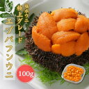 【2/19 20:00-2/23 01:59 店内全品ポイント5倍】【送料無料】【鮮度抜群】ウニ 「極上 無添加 塩水生うに」塩水 100g 北方四島産エゾバフンウニ 雲丹 天然 ミョウバン不使用 極上グレード お買い得 うにの匠マルヒラ渡邊水産