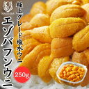 【鮮度抜群!網元ならではの高品質と低価格】ウニ 「極上 無添加 塩水生うに」塩水 250g 北方四島産エゾバフンウニ 雲丹 天然 ミョウバン不使用 極上グレード...