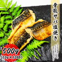そのまま食べられる 骨取サバ塩焼き 500g (50g×10切) サバ 塩焼き 真空パック 送料無料 お子様 骨取 切身 冷凍 バラ冷凍 グルメ お取り寄せ 常備におススメ 弁当朝食 昼食 夕食