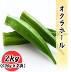 冷凍 オクラ 2kg (500g×4袋) 常備に便利な 冷凍野菜 業務用 冷凍 野菜 オクラホール