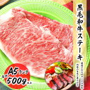 黒毛和牛A5ランク 特選 サーロイン 500g以上 (200g~350g×2枚入り) 特選 牛肉 ロース 牛 食品 冷凍便 プロ愛用 取り寄せ