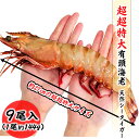 超超特大サイズ 天然 シータイガー 9尾 約144g/尾 約27cm 1.3kg 有頭海老 エビ 特大 業務用 お歳暮 ギフト 冷凍海老 お取り寄せ グルメ 食...