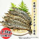 大サイズ ブラックタイガー 18尾 1.3kg 有頭海老 エビ 特大 業務用 お歳暮 ギフト BT 冷凍海老 お取り寄せ グルメ 食品 冷凍便 プロ愛用 海老 ...