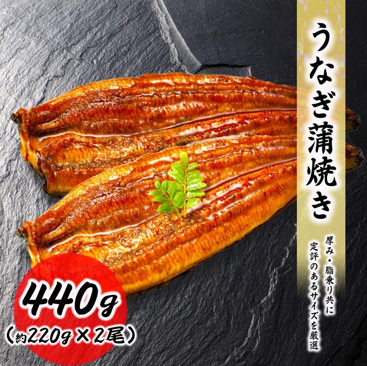 【クーポンで最大15,000円OFF】うなぎ 蒲焼 2尾セット（約440g） 約220g/1尾 料理...