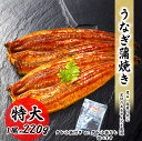 うなぎ 蒲焼 特大 220g 約220g/1尾 料理店でも使われる一品 うなぎ蒲焼 うなぎ蒲焼き 冷凍 ウナギ 鰻 真空処理済み うな重 お取り寄せ プロ愛用 うなぎ うなぎ蒲焼 お歳暮 ギフト 贈答 贈答品 土用の丑 お取り寄せ グルメ ひつまぶし 送料無料 惣菜 食品