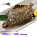 海鮮工房 鮮寿商店 浅羽カレイ 塩 手造り 瞬間旨み干し 北海道産干物 1尾 約200g~300g