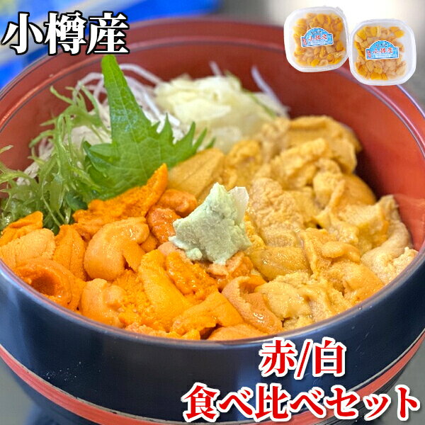 小樽産 塩水うに 食べ比べ！ 赤 白 2種セット うに 送料無料 100g 2個セット 期間限定 エゾバフンウニ キタムラサキウニ 赤うに 白うに 雲丹 北海道産 国産 生うに 無添加 ミョウバン不使用 冷蔵便