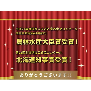 北海道産 鮭ジャーキー 250g 業務用 送料無料 訳あり お徳用 お得 お買い得 サケトバ 鮭とば チーズ おつまみ つまみ 酒の肴 北海道 定番 土産 ビールに合う 珍味 ひと口サイズ 海鮮 スティック 宅のみ おうちグルメ メール便