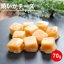 焼いかチーズ 70g 珍味 個別包装 1000円ポッキリ お試し ポイント消化 送料無料 イカ 烏賊 チーズ ナチュラルチーズ おやつ 酒の肴 おつまみ 個包装...