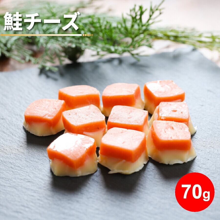 ＼条件達成でパンダ皿貰える 要エントリー／鮭チーズ 70g 珍味 個別包装 1000円ポッキリ お試し ポイント消化 送料無料 サケ ナチュラルチーズ 珍味 おやつ 酒の肴 おつまみ 一口サイズ ひと口 ポイント消化 北海道 家飲み お取り寄せグルメ メール便