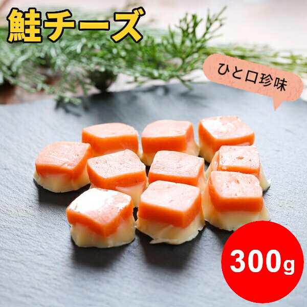 ＼エントリーでポイント5倍／鮭チーズ 300g お徳用 珍味 個別包装 おつまみ 送料無料 大容量 業務用 サケ ナチュラルチーズ 珍味 おやつ 酒の肴 つまみ 一口サイズ ひと口 北海道 家飲み お取り寄せグルメ メール便 SL