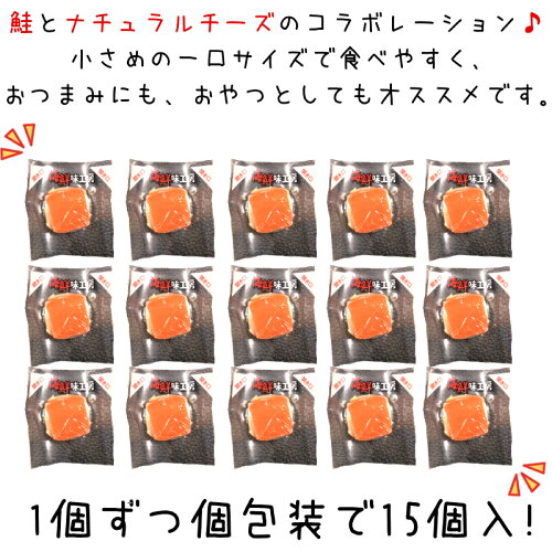 1000円ポッキリお試しポイント消化鮭チーズ15個入送料無料サケナチュラルチーズ珍味おやつ酒の肴つまみ一口サイズひと口ポイント消化北海道海鮮貰って嬉しい贈答贈物メール便