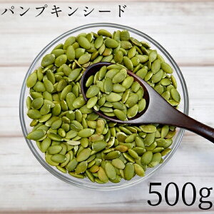 素焼き パンプキンシード 500g ペポ種 無添加 無塩 無油 送料無料 ロースト オイル不使用 かぼちゃの種 南瓜 おやつ おつまみ お取り寄せ お取り寄せグルメ メール便