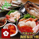 海鮮 福袋 詰め合わせ 9種 11点 中身が見える セット ギフト 海鮮 ギフト 食品 2024 ししゃも いくら たらこ ほっけ 特大 松前漬け 帆立 甘えび ズワイ 蟹 棒肉 刺身 送料無料 北海道 海産物 クール便