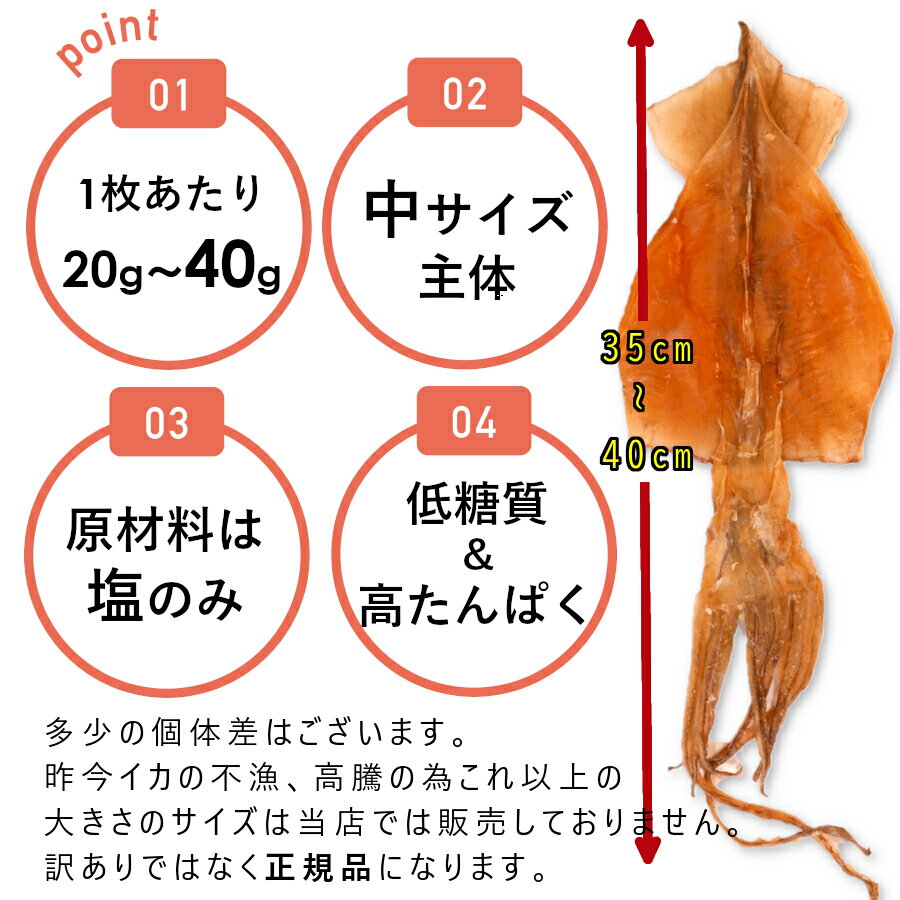 するめ スルメ 国産 280g x 5 まとめ買いでお得 中サイズ 1袋 7～11枚入 北海道産 スルメイカ ゲソ付き 送料無料 函館産 お徳用 するめいか 下足 乾燥 無添加 お取り寄せ グルメ 酒の肴 おつまみ 珍味 干物 ダイエット 間食 常温便