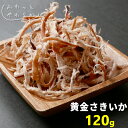 黄金さきいか 120g 函館製造 ふんわり 柔らかい スルメ 大容量 大容量 業務用 スルメイカ さきいか カット済み お徳用 送料無料 おつまみ 珍味 干物 ...